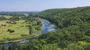 Are Perceptions the Reality?