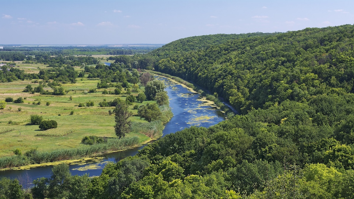 Are Perceptions the Reality?