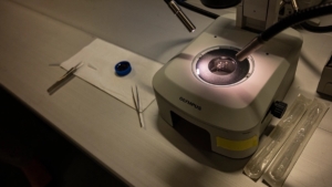 Synthetic Biology, Drones, and AI: The Risks of Dual-Use Technologies