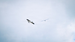Cheap Missiles, Not Drones, Will Win the Next Air War