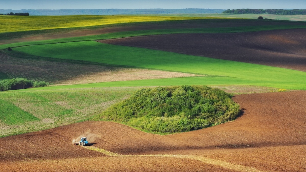 Ukrainian Agriculture as Strategy, Diplomacy, and Legacy