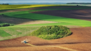 Ukrainian Agriculture as Strategy, Diplomacy, and Legacy