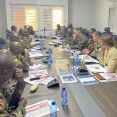 The Trump Administration Debates Strikes in Mali