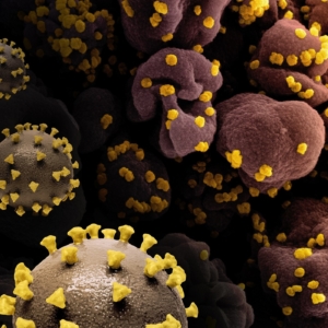 The Real Risk of AI-Designed Viruses