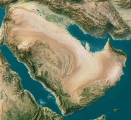 The Arab Gulf States Have Some Problems