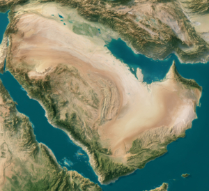 The Arab Gulf States Have Some Problems